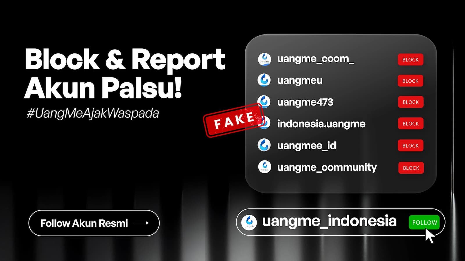 Instagram Fake Account Example